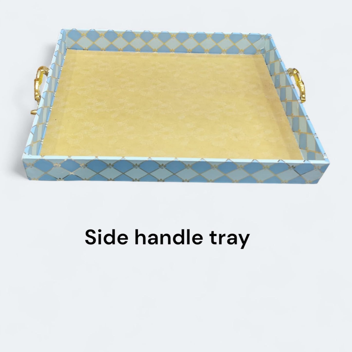 Coloured Premium Side Handle Tray